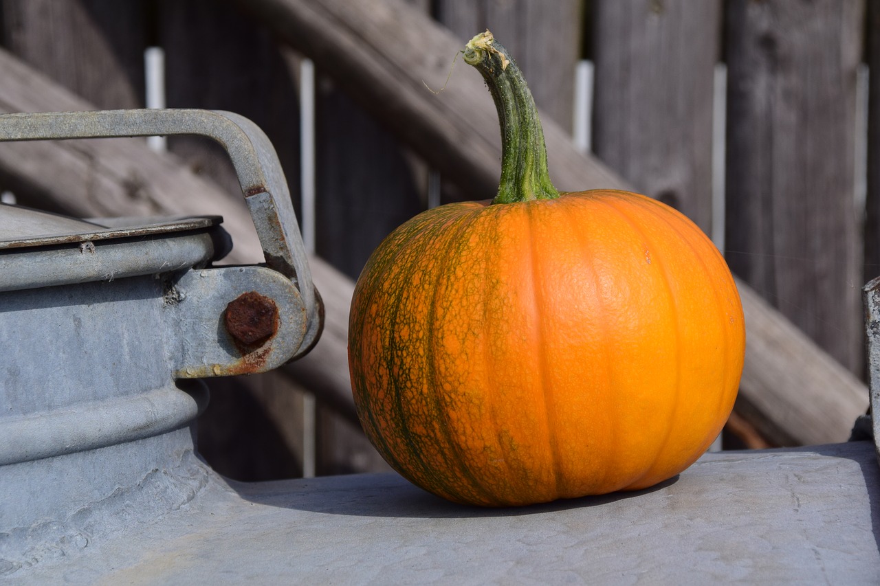 pumpkin wooden wall autumn free photo