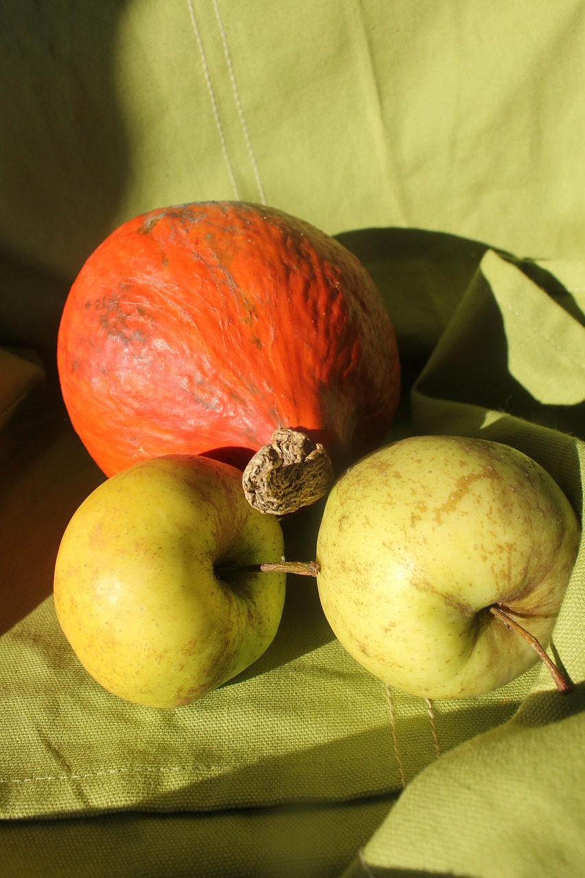 pumpkin apple fruits free photo