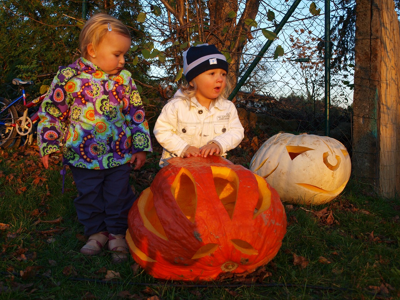 pumpkin autumn children free photo