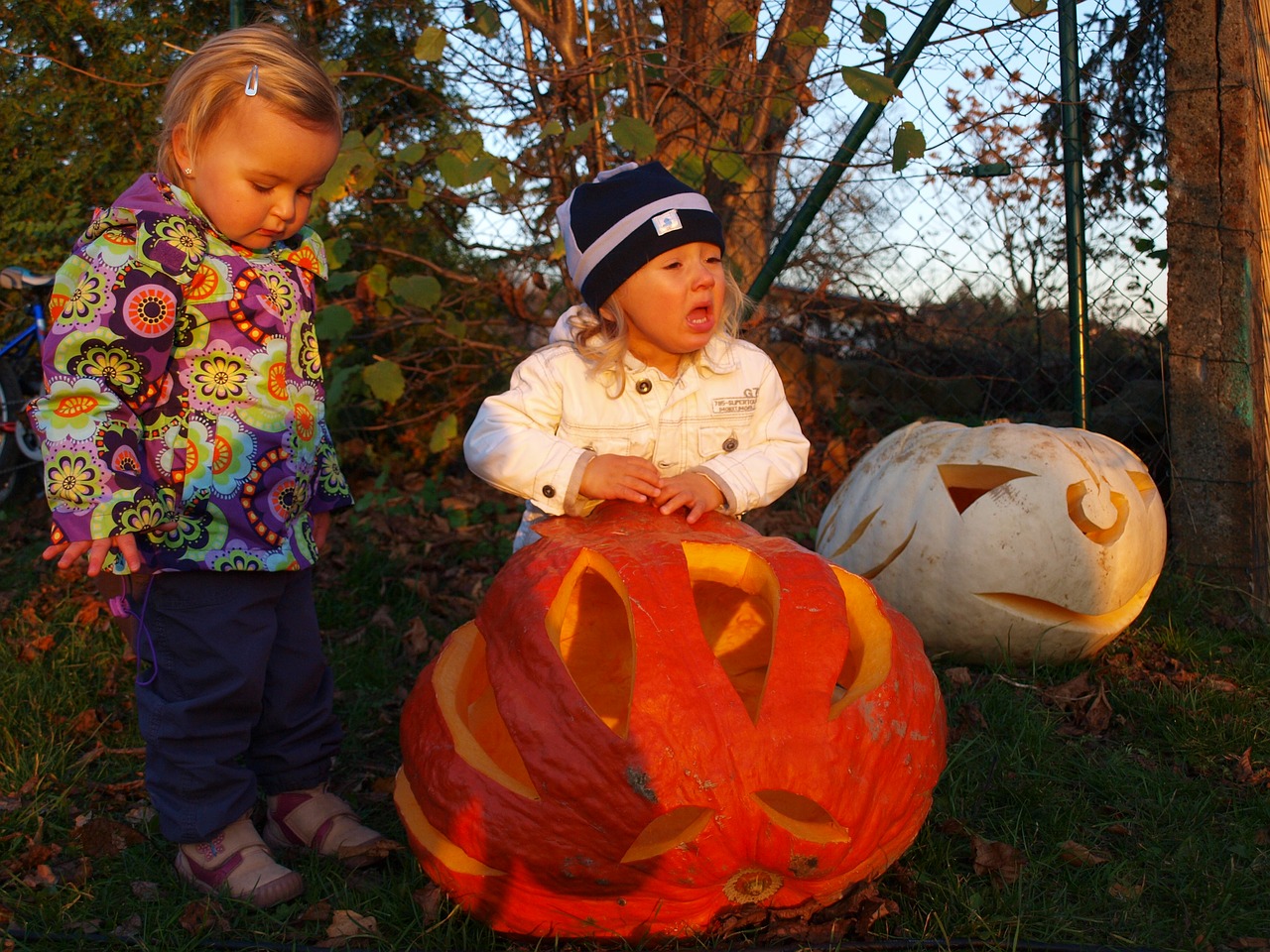 pumpkin autumn children free photo