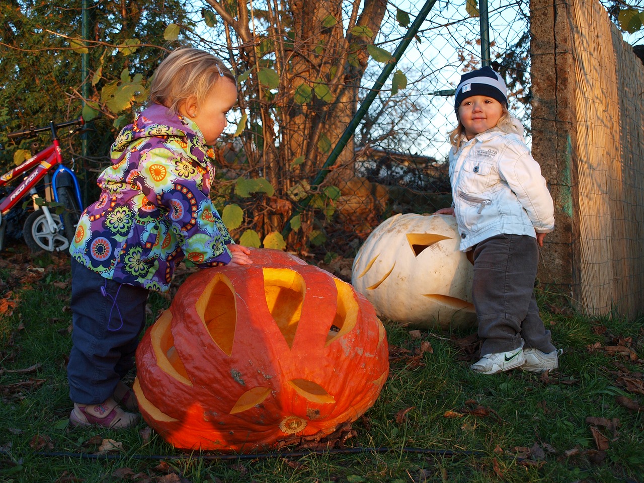 pumpkin autumn children free photo