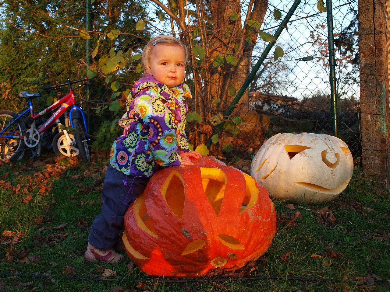 pumpkin autumn children free photo