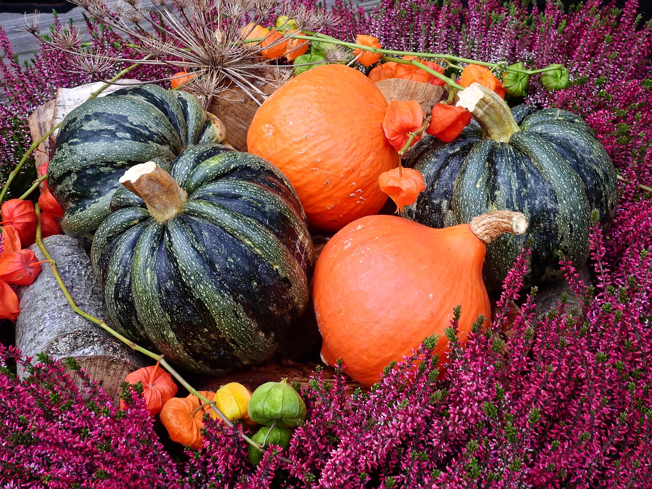 pumpkin flowers deco free photo