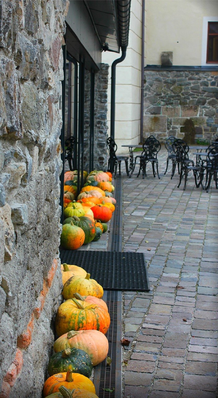 pumpkin autumn street free photo