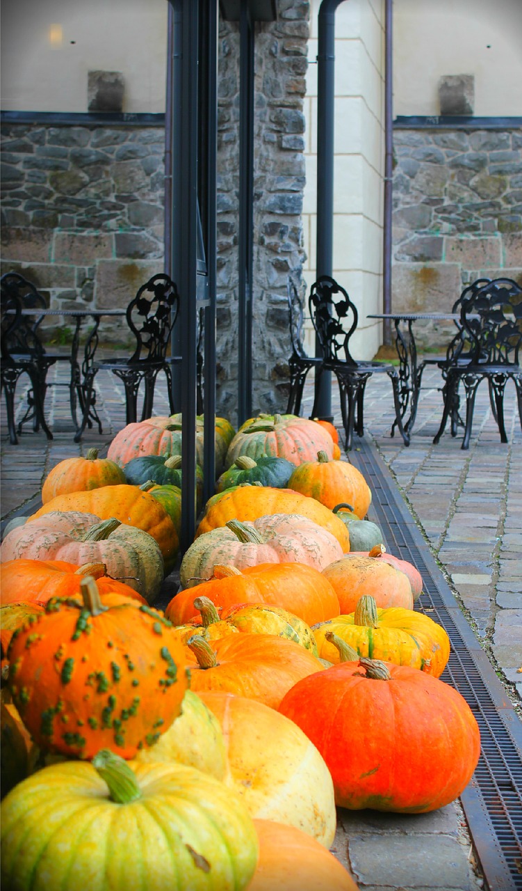 pumpkin autumn street free photo