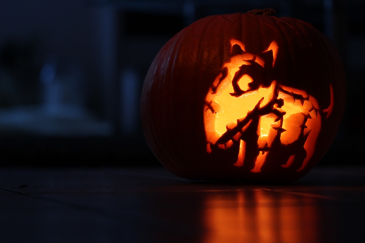 pumpkin halloween frankenweenie free photo