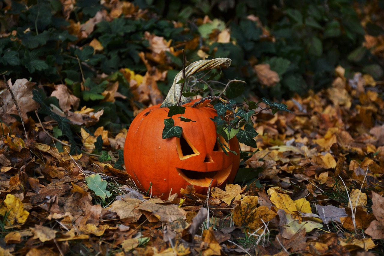 pumpkin halloween autumn free photo