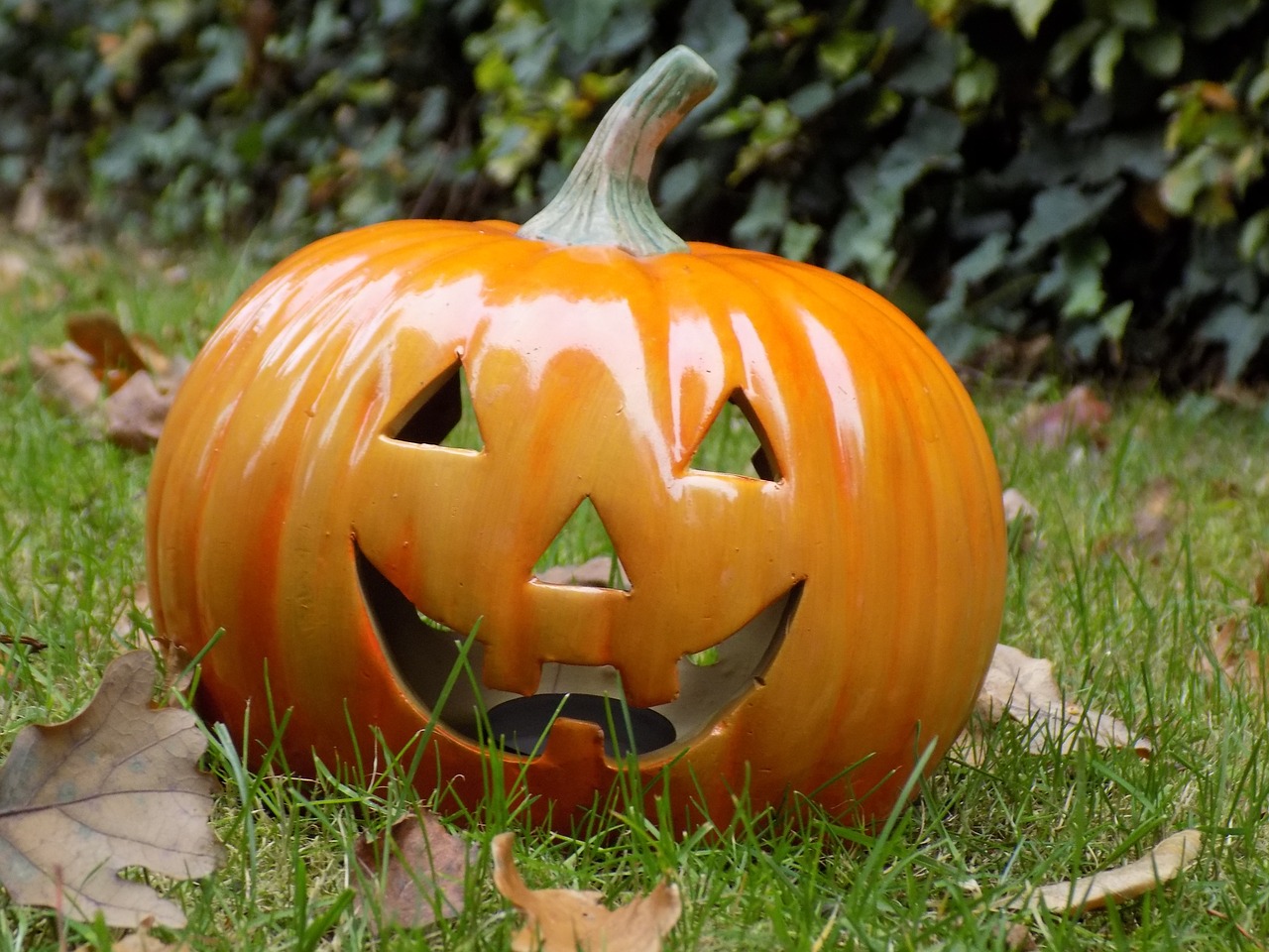 pumpkin halloween decoration free photo