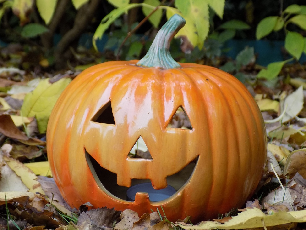 pumpkin halloween decoration free photo