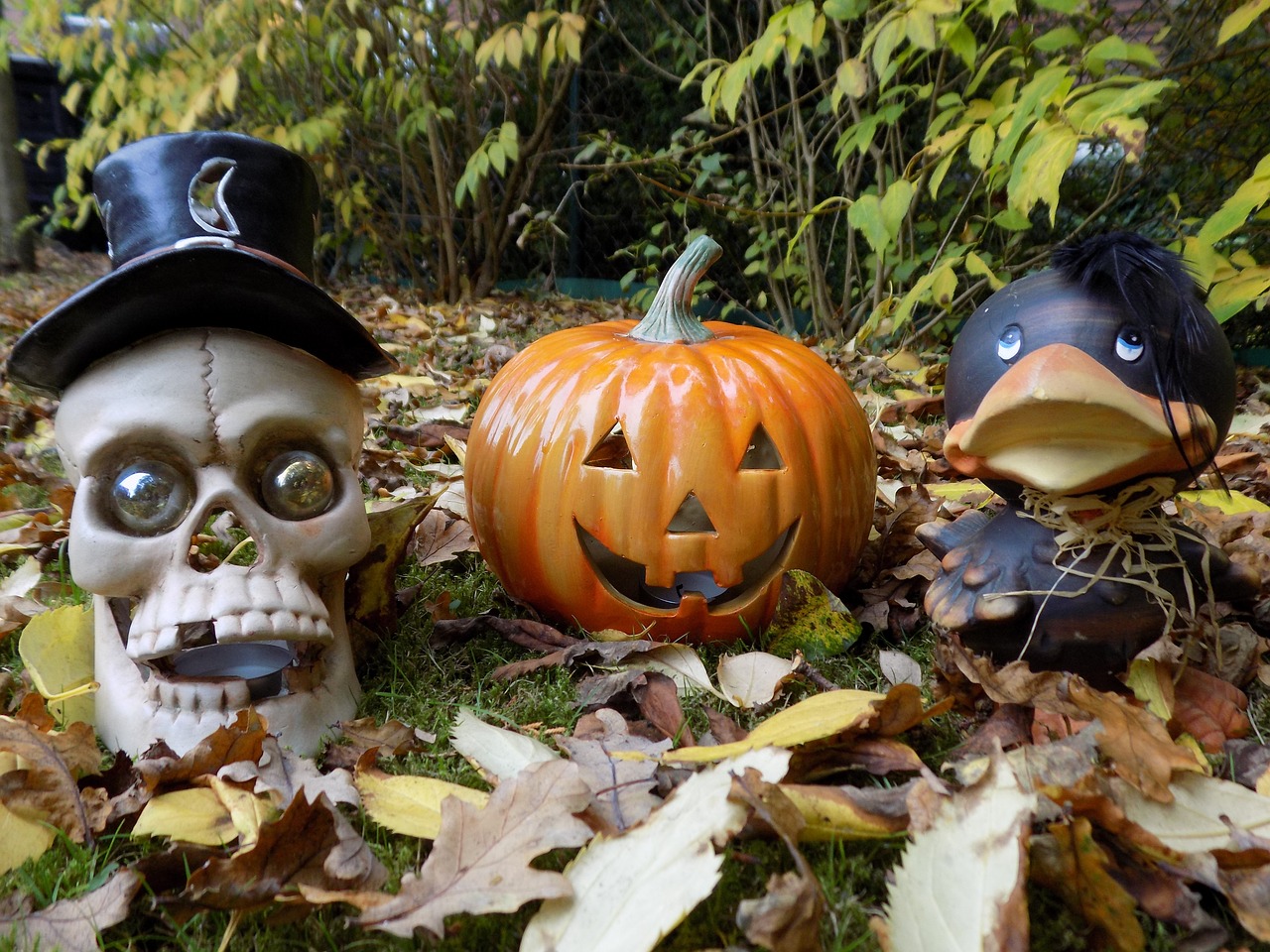 pumpkin skull and crossbones raven free photo