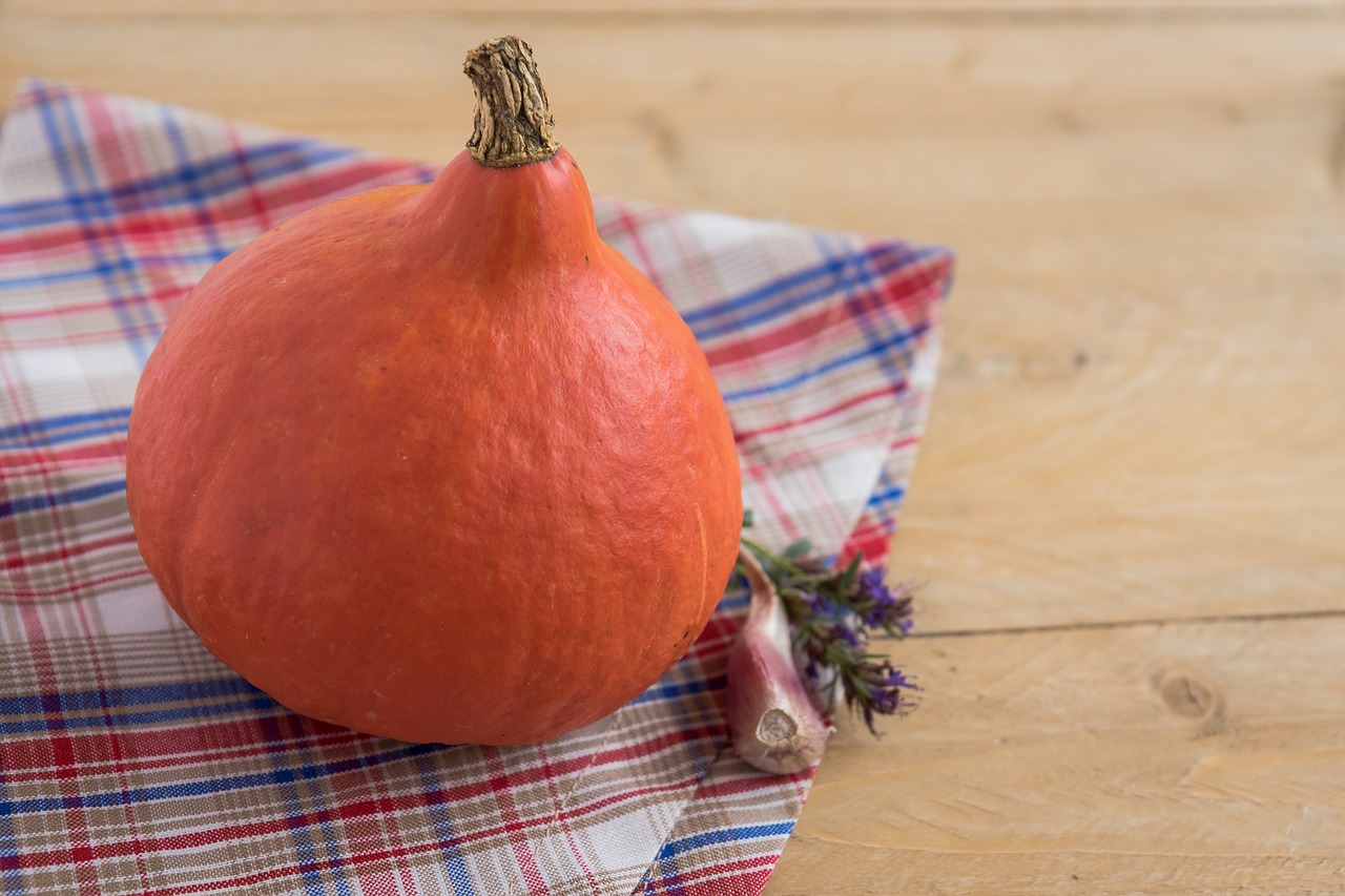 pumpkin a vegetable autumn free photo