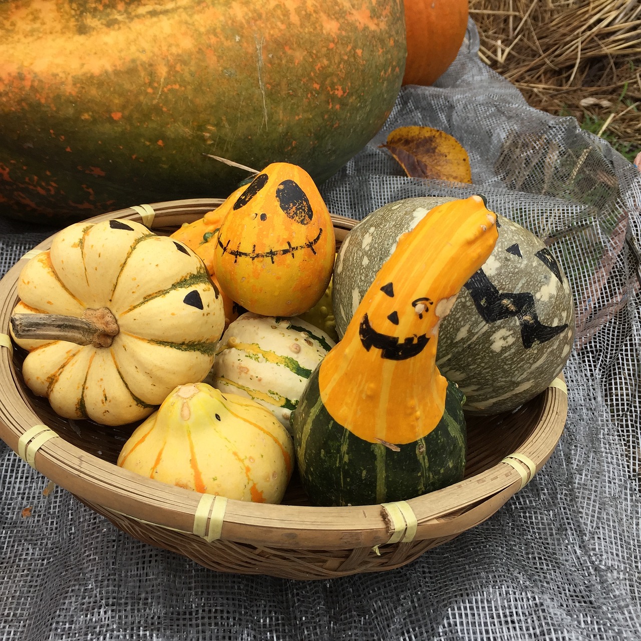 pumpkin halloween autumn free photo