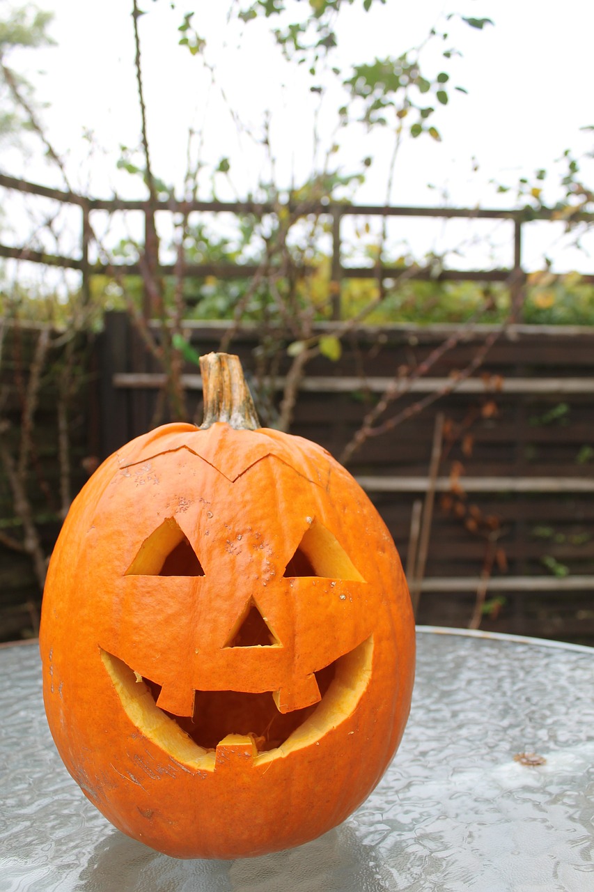 pumpkin carving halloween free photo