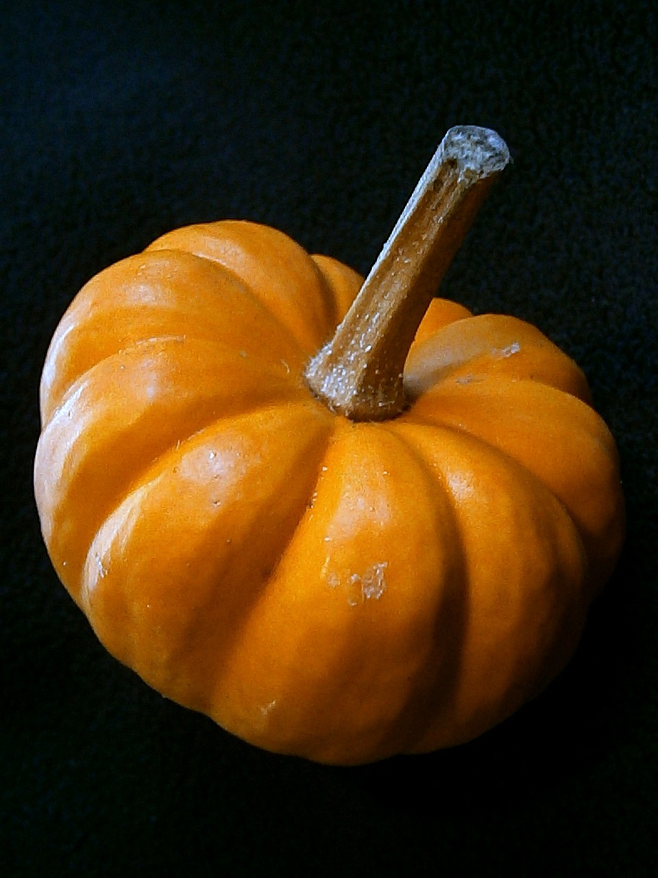 pumpkin gourd miniature pumpkin free photo