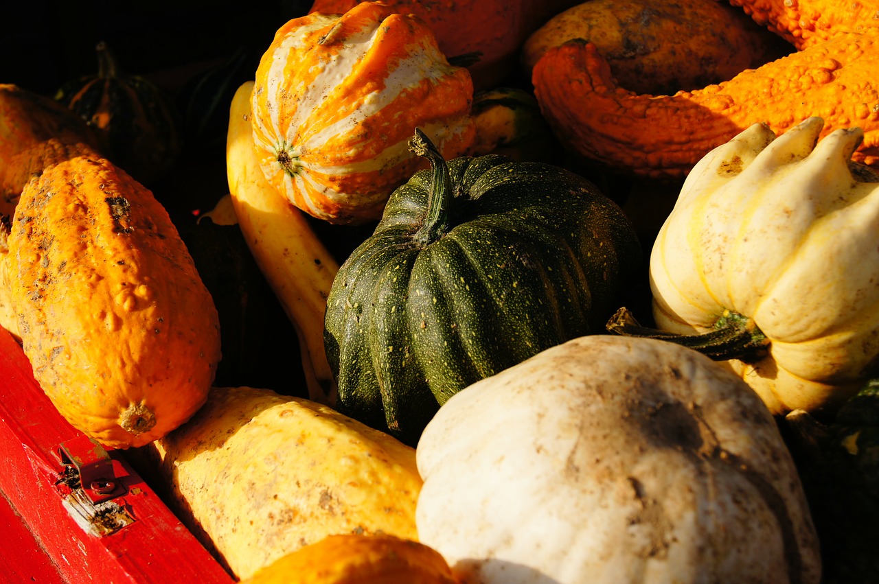 pumpkin autumn halloween free photo