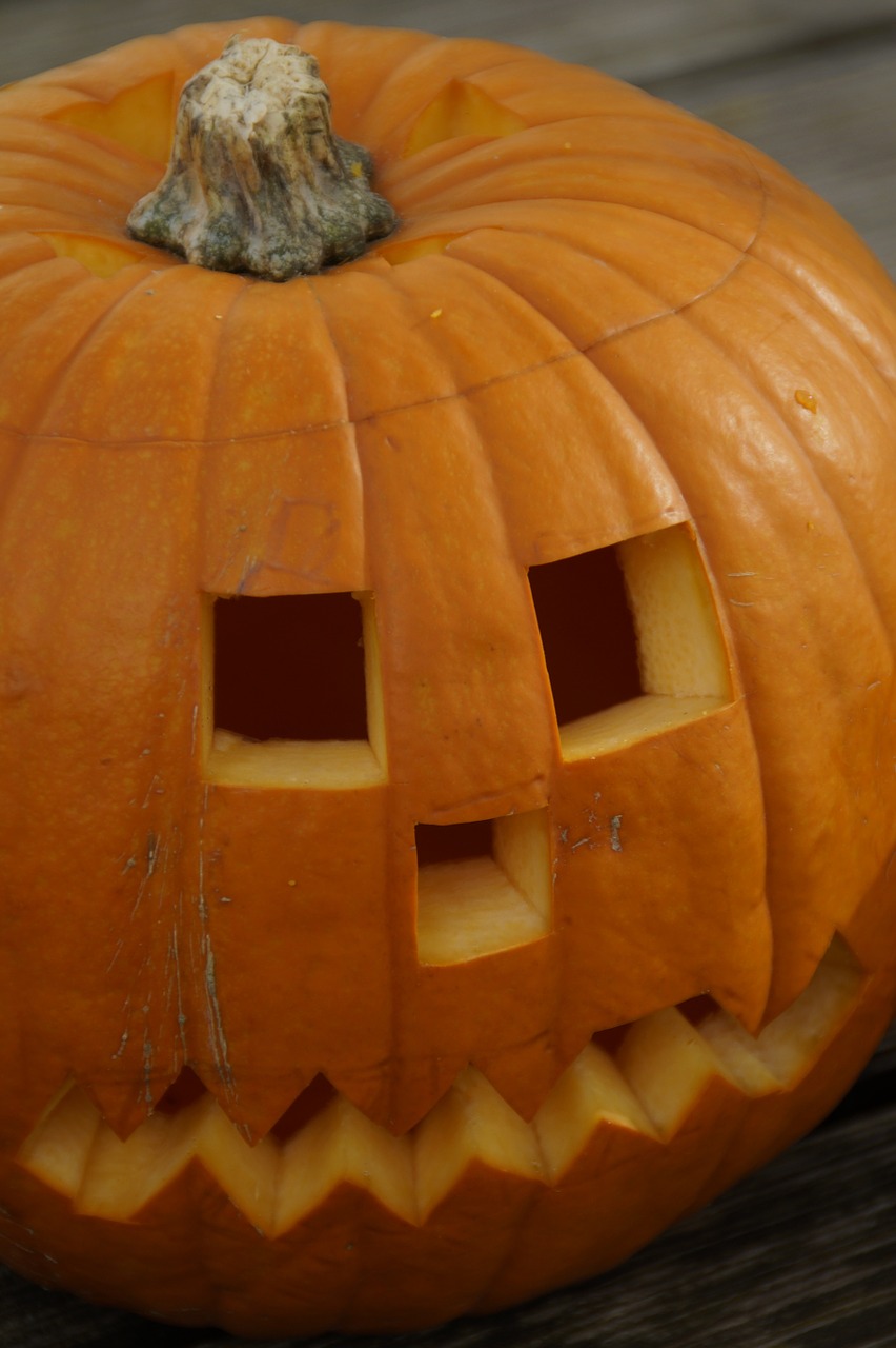 pumpkin pumpkins orange free photo