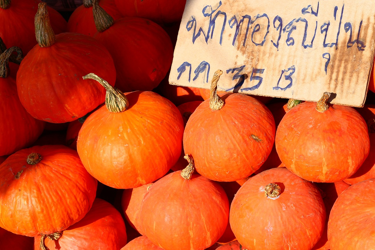 pumpkin orange fresh free photo