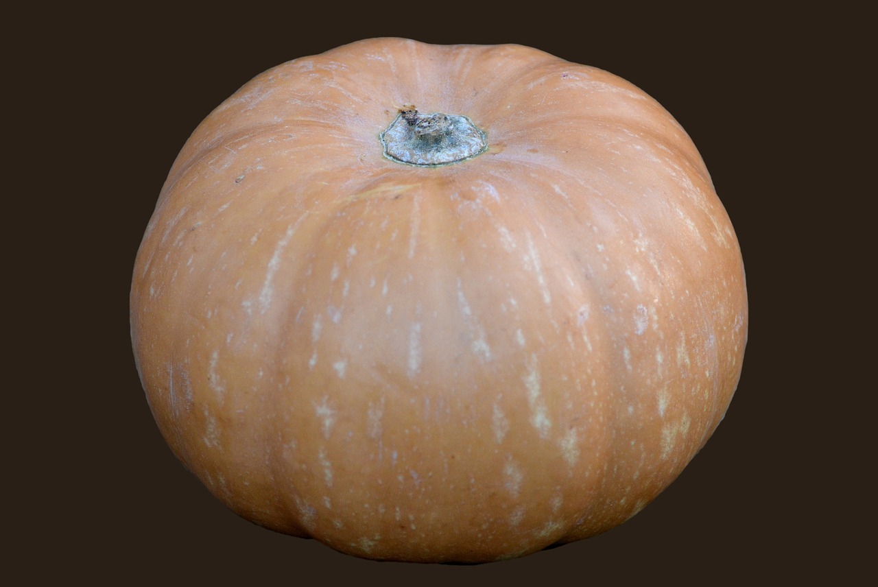 pumpkin vegetable orange free photo