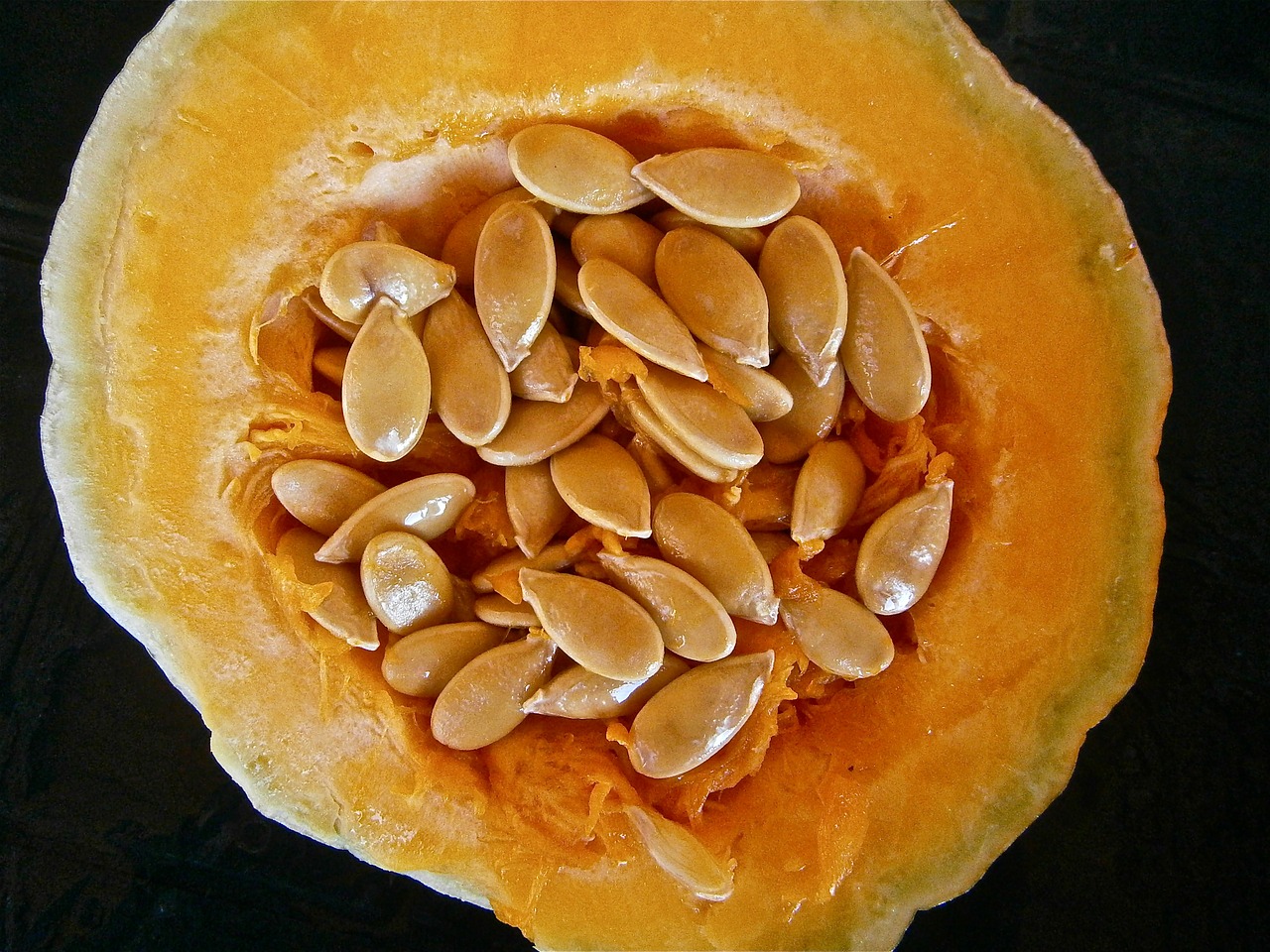 pumpkin fruit seed free photo