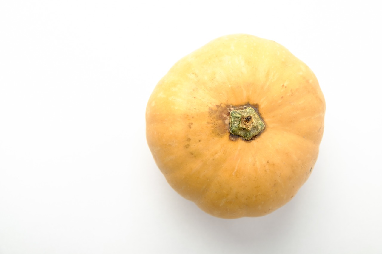 pumpkin halloween vegetables free photo