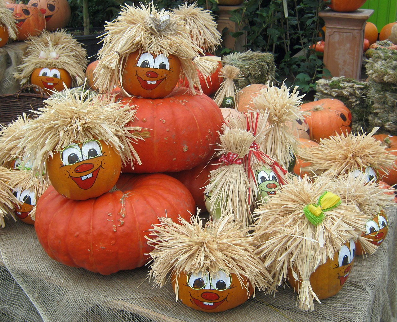 pumpkin gourd harvest free photo