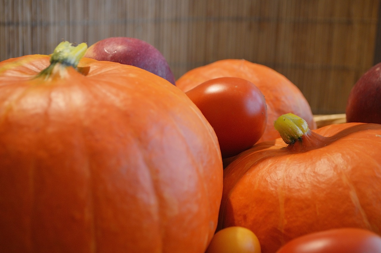 pumpkin vegetables harvest free photo