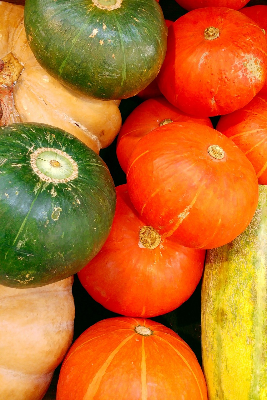 pumpkin vegetables harvest free photo