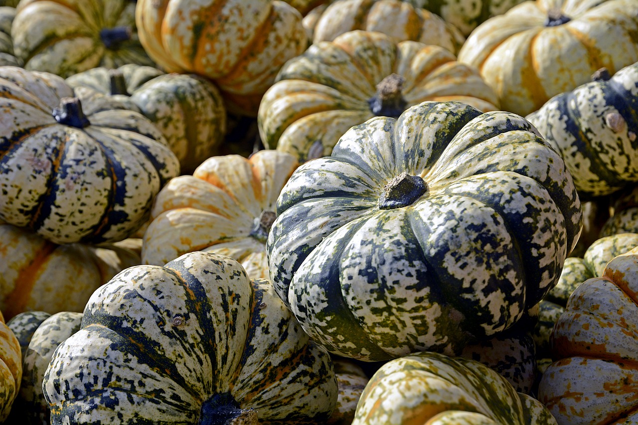 pumpkin gourd autumn free photo