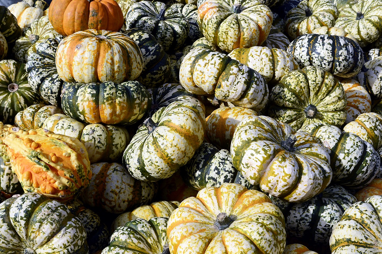 pumpkin gourd autumn free photo