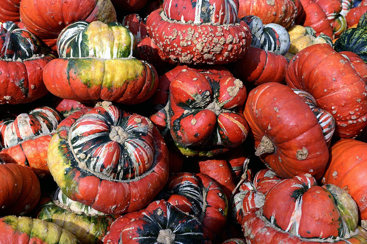 pumpkin gourd bishop's cap free photo