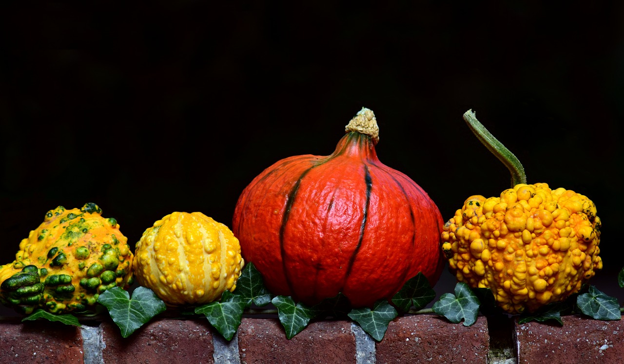 pumpkin gourd hokkaido free photo