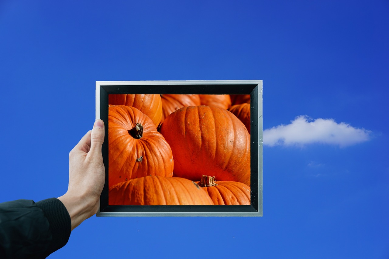 pumpkin fruit orange free photo