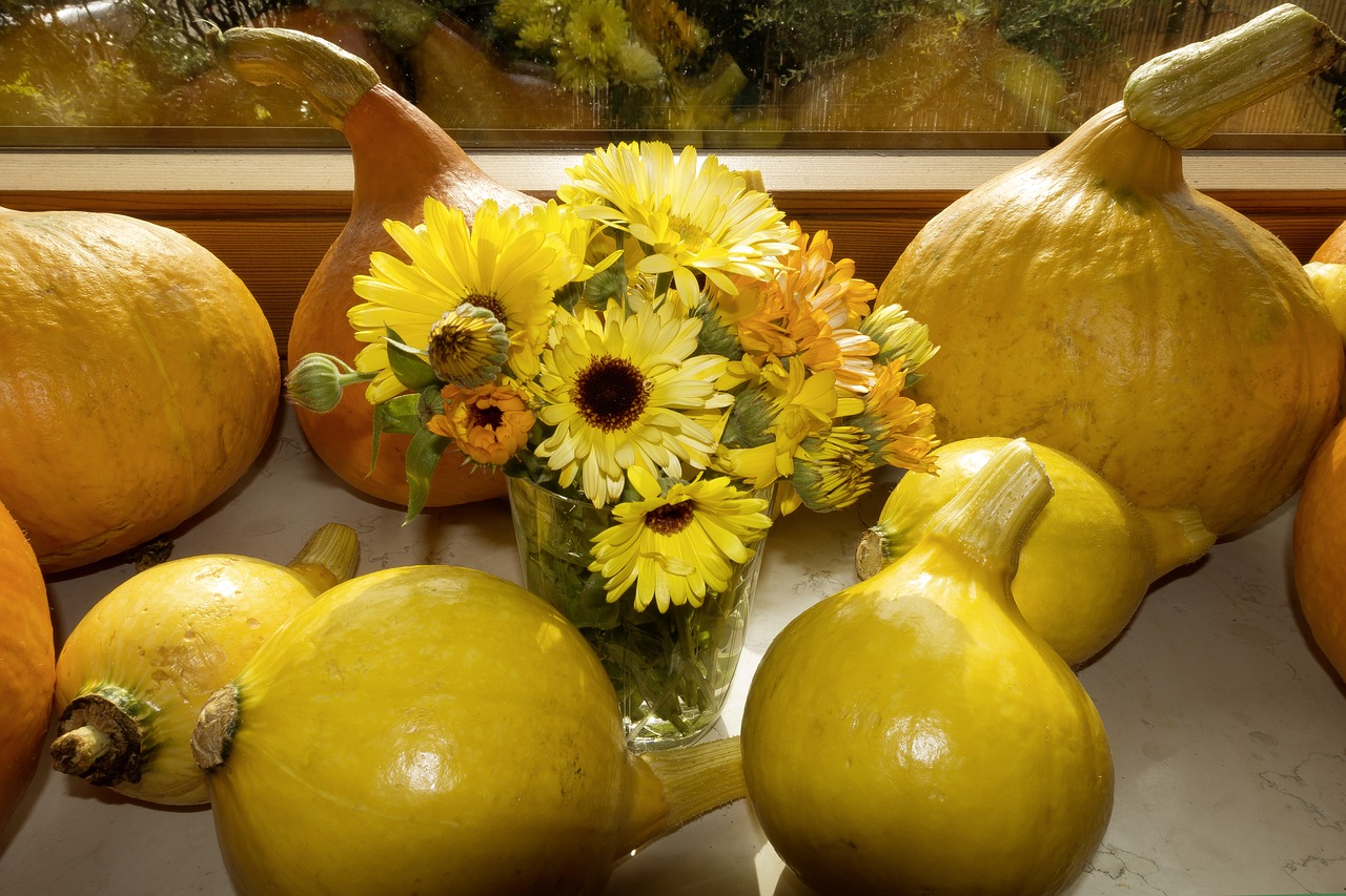 pumpkin hokkaido vegetables free photo