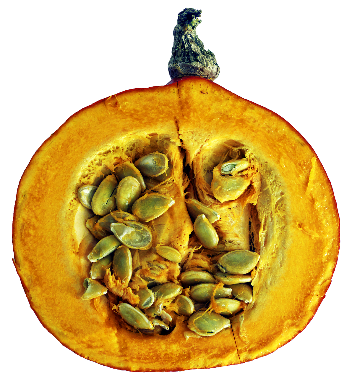 pumpkin hokaido pumpkin sliced free photo