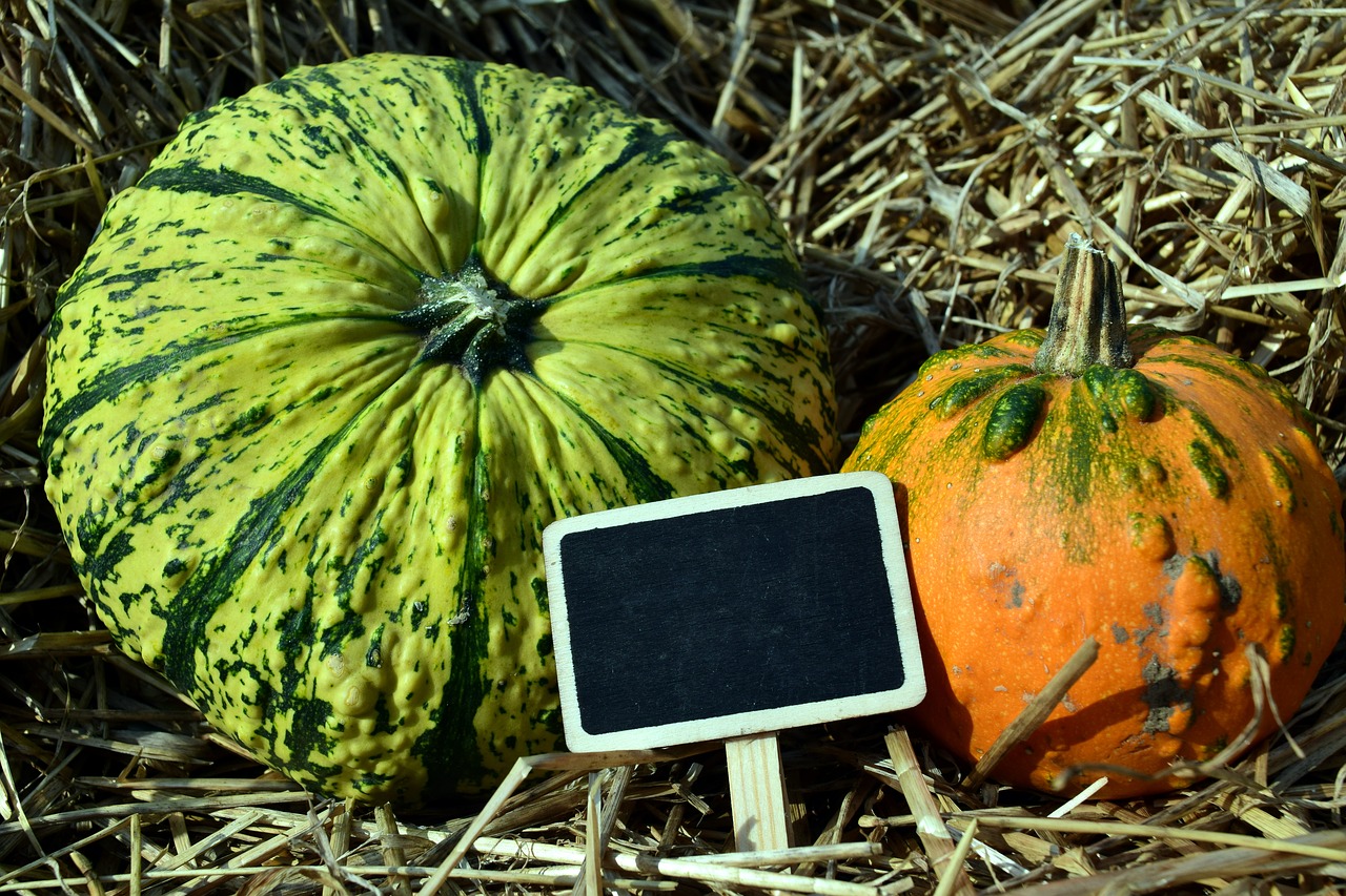 pumpkin gourd autumn free photo