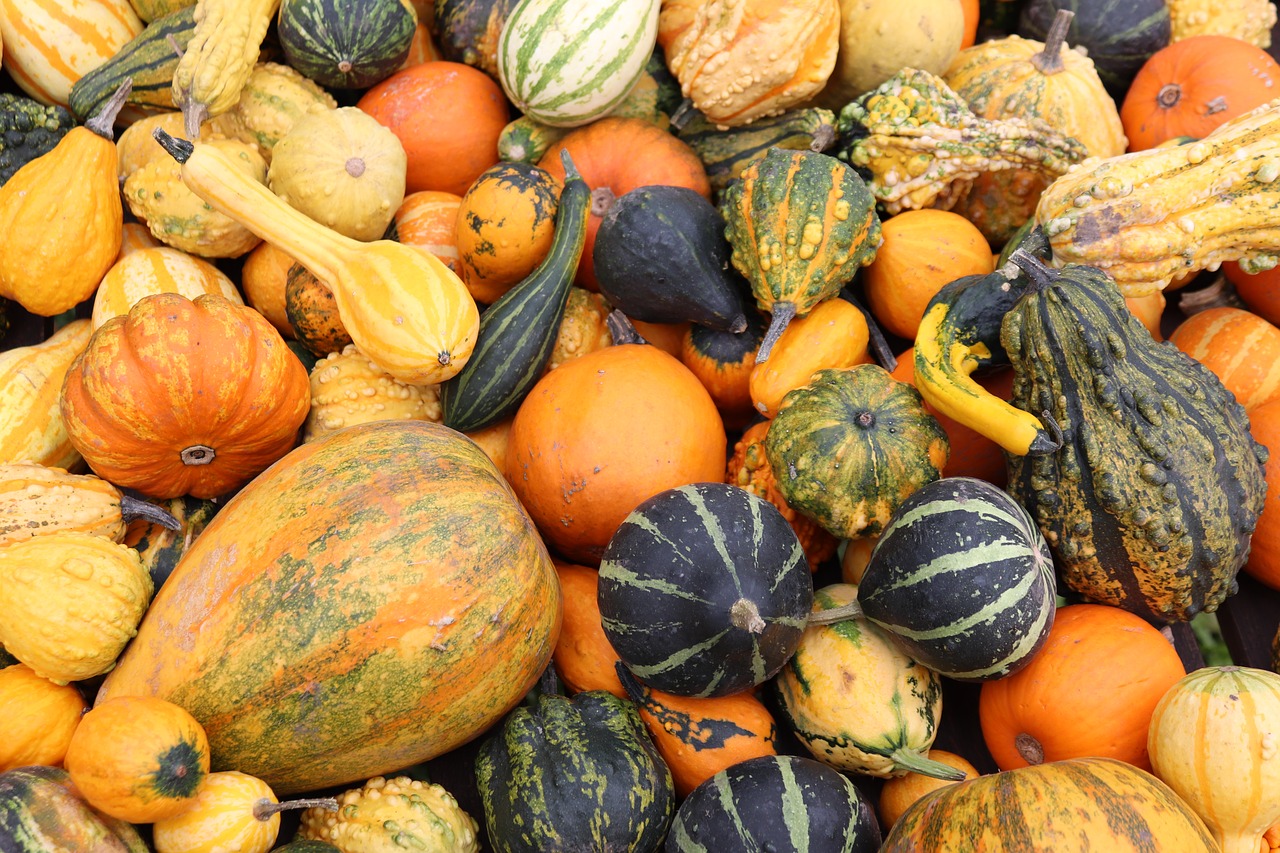 pumpkin autumn gourd free photo