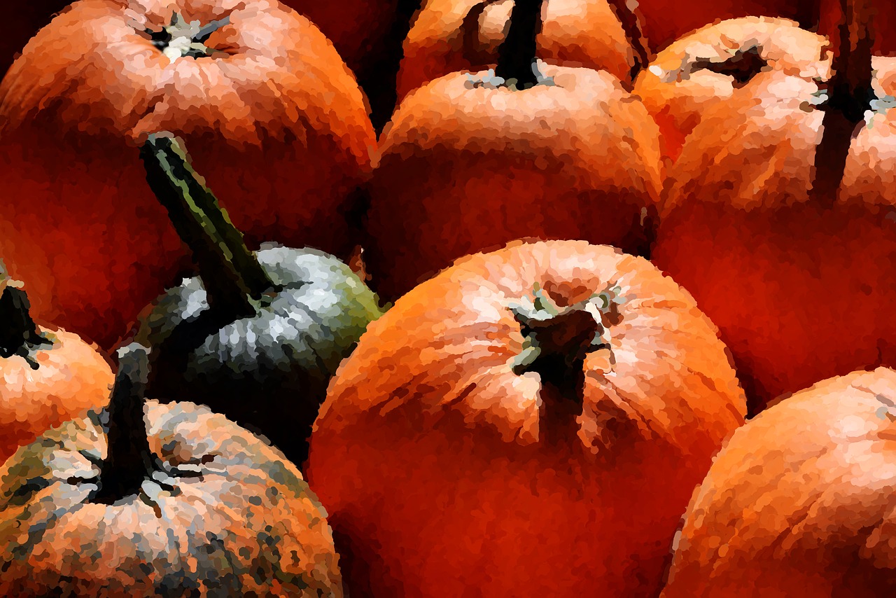 pumpkin impressionistic orange free photo