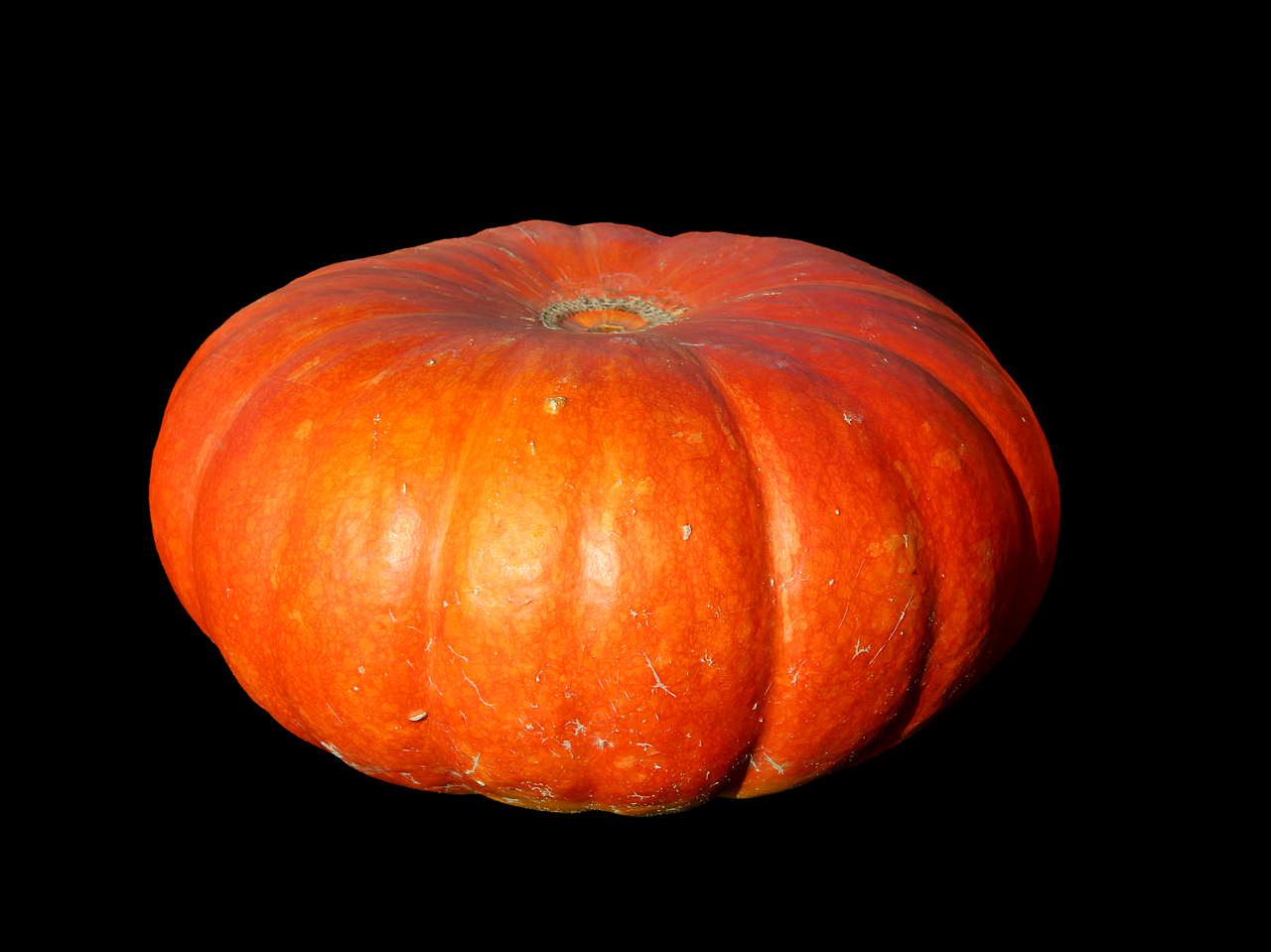 pumpkin fruit orange free photo