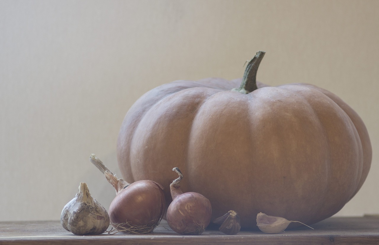 pumpkin onion vegetables free photo