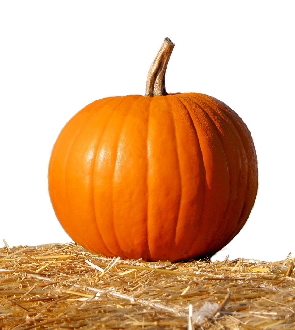 pumpkin straw isolated free photo