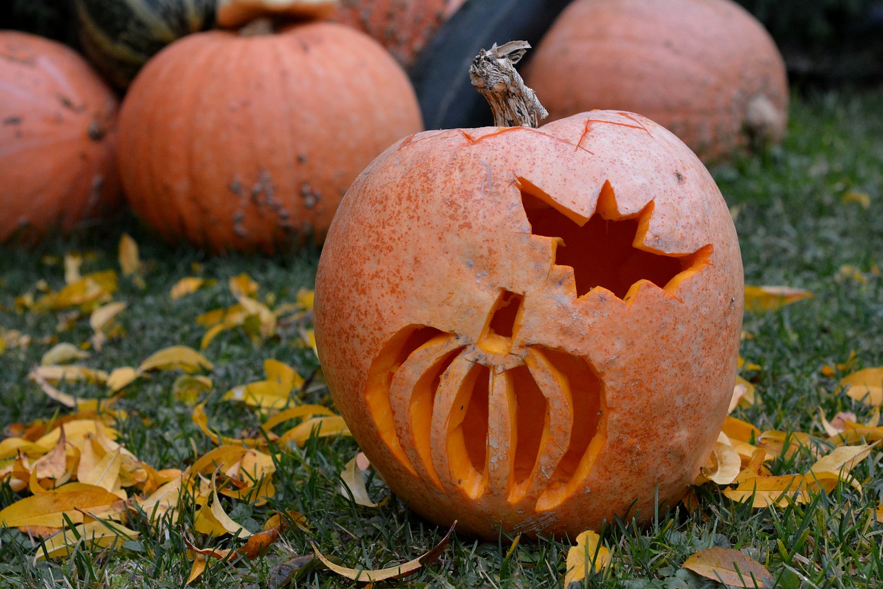 pumpkin pumpkins powycinana pumpkin free photo