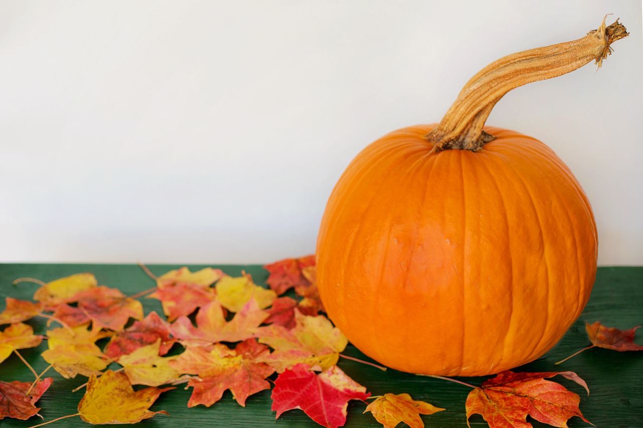 pumpkin leaves autumn free photo