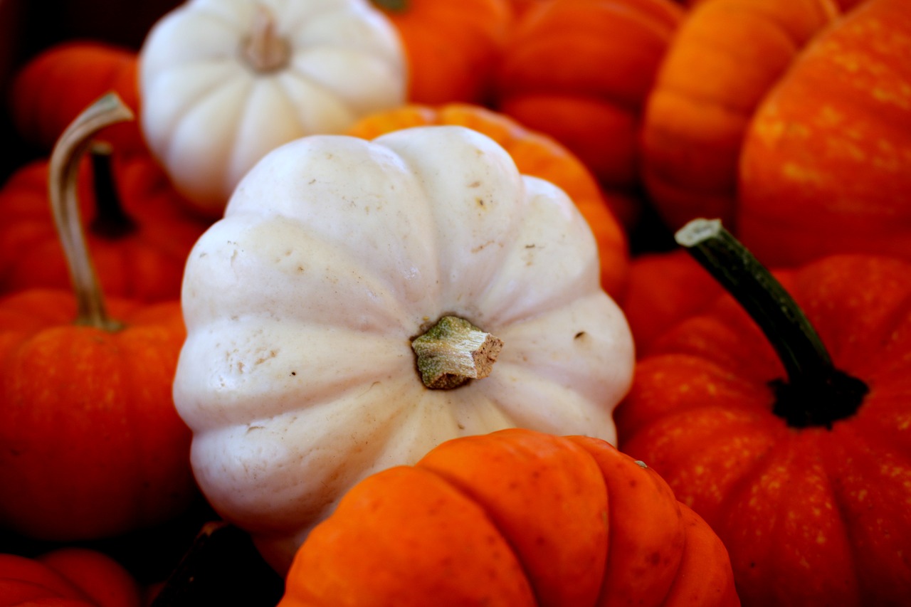 pumpkin halloween autumn free photo