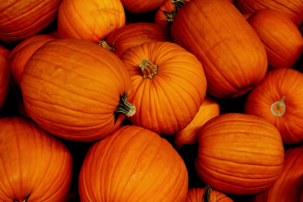 pumpkin halloween autumn free photo