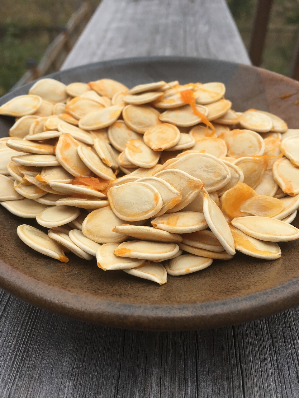 pumpkin seeds halloween free photo