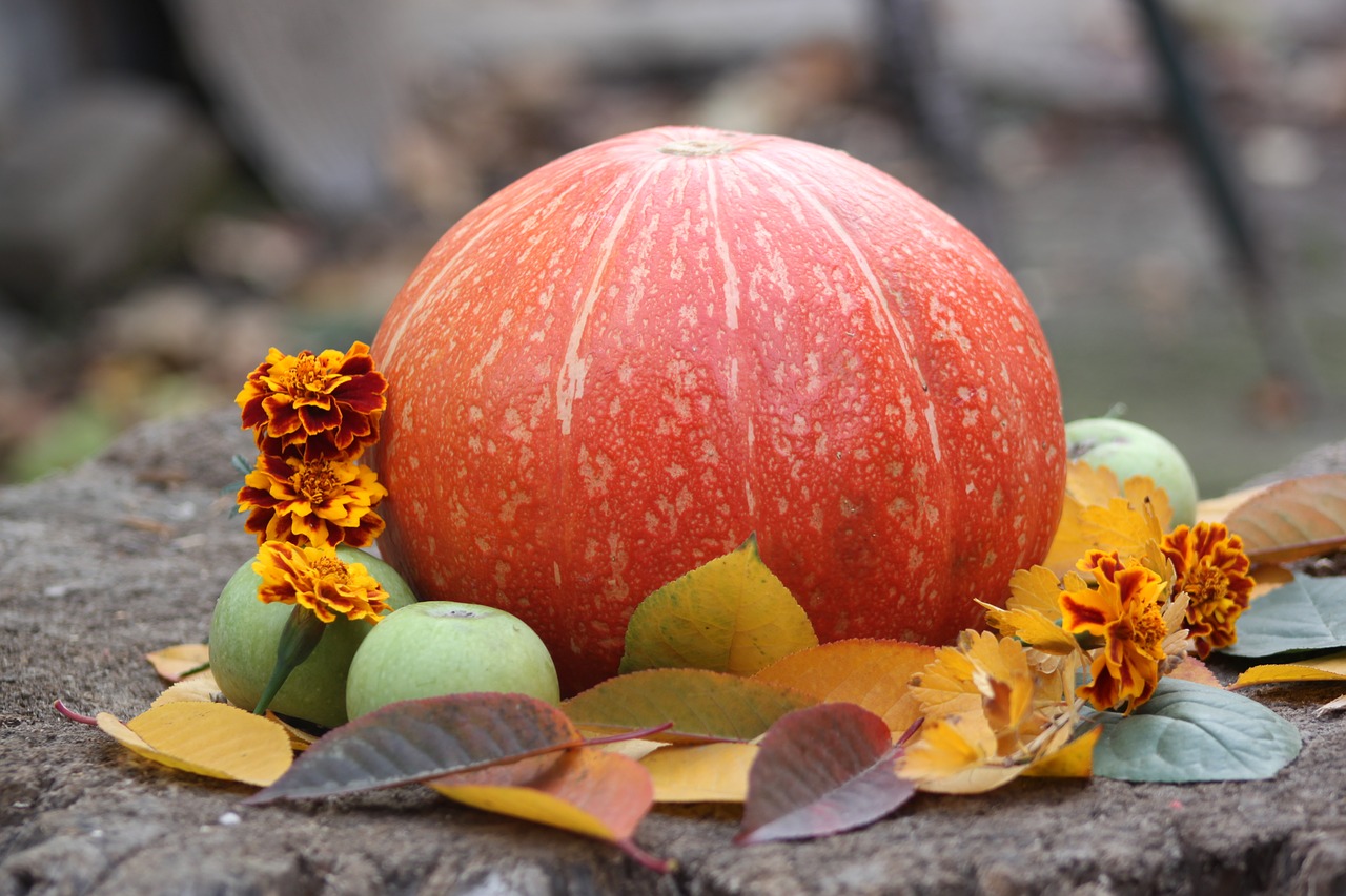 pumpkin autumn vegetable free photo