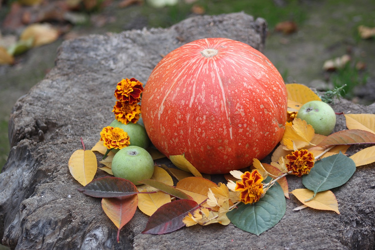 pumpkin autumn vegetable free photo