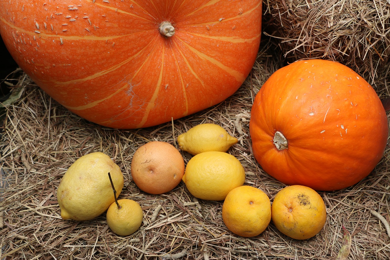 pumpkin haloween lemon free photo