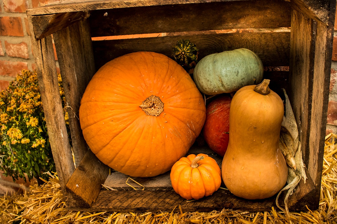 pumpkin autumn pumpkin decoration free photo