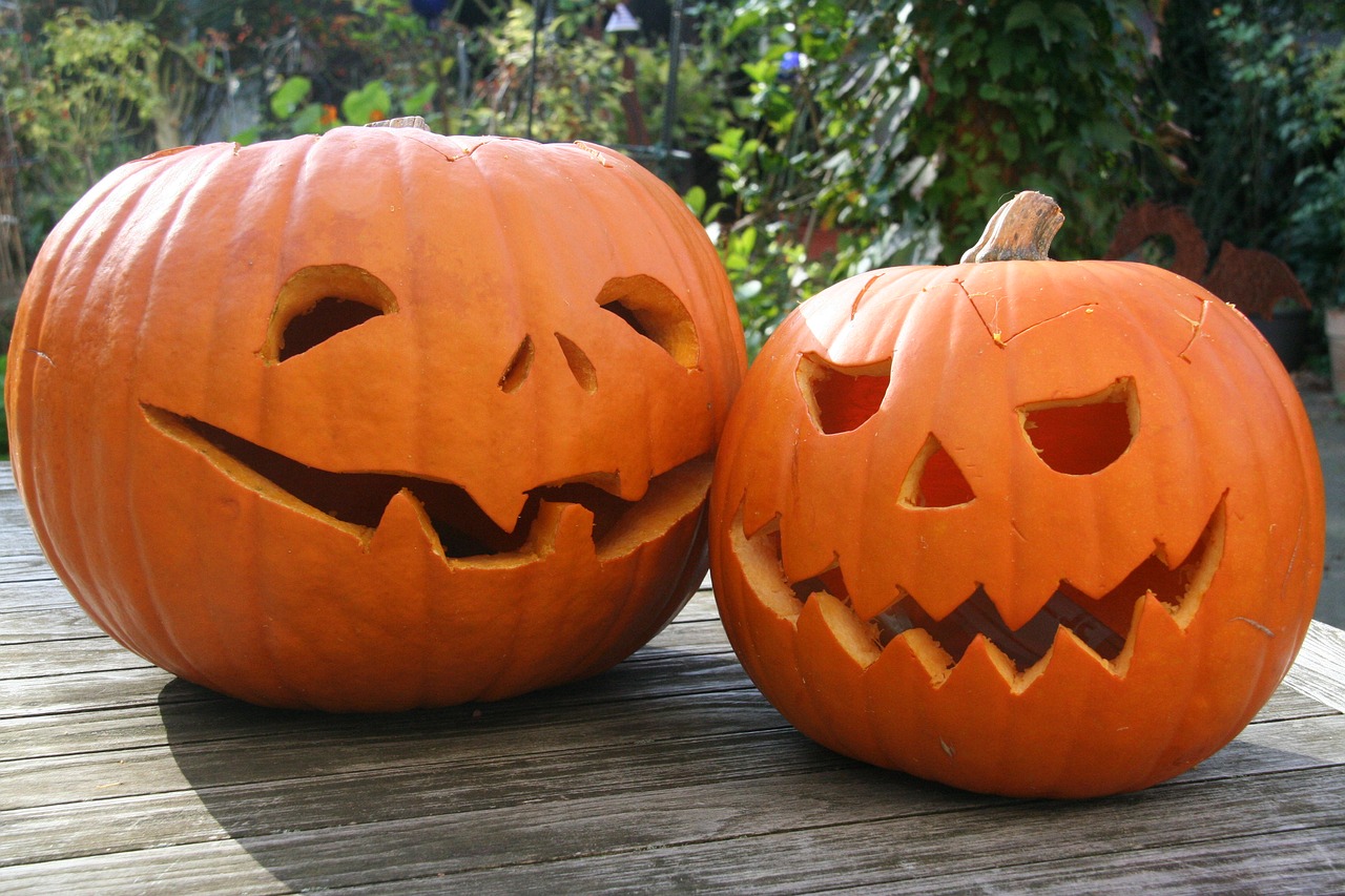 pumpkin halloween lantern free photo